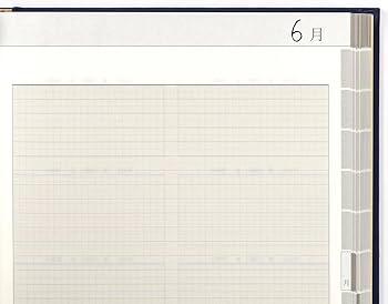 洋書 10冊まとめ売り 廉価版※【100枚入り】少年、少女コミック・新書サイズ約10冊用